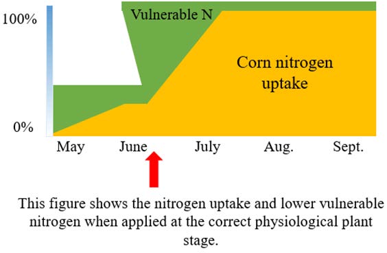 Nitrogen Graph